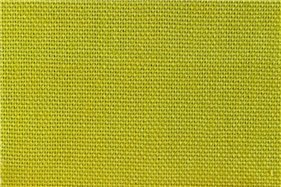TOVAGLIOLO VERDE 30 ME unito