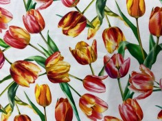 Tulipani arancio