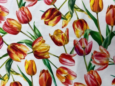 Tulipani arancio