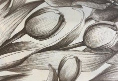 Tulipani sabbia